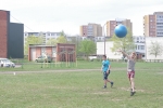 IMGP8832.JPG