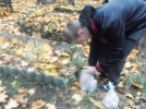 Picture_001.jpg