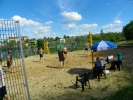 Picture_008.jpg