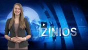 zinios_vasaris.flv