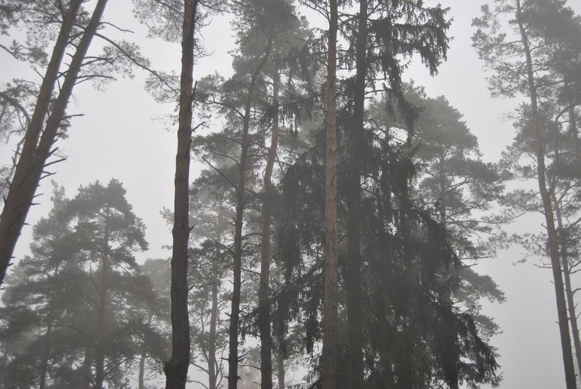 DSC_0112.JPG