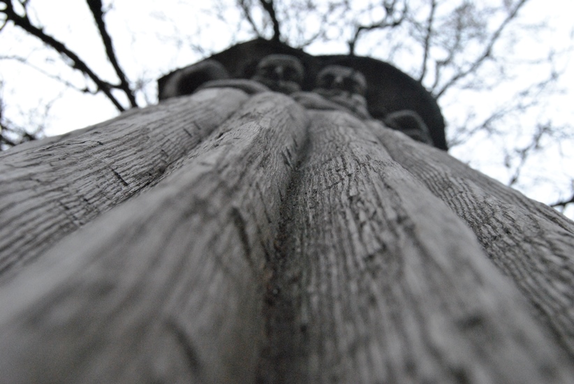 DSC_0234.JPG