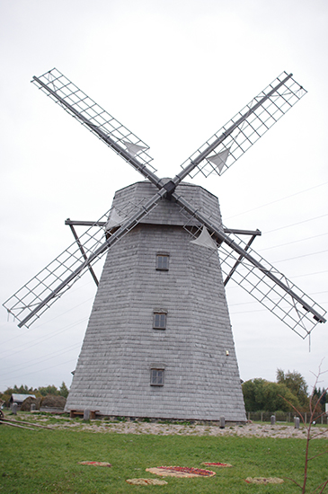 IMGP4687.JPG