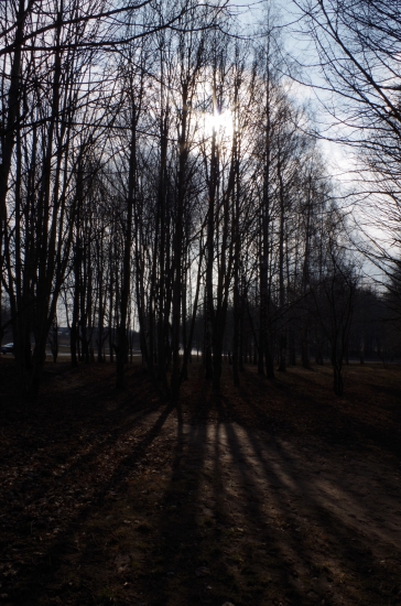IMGP3661.JPG