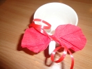 DSC00728.JPG