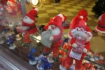DSC09697.JPG