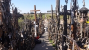 DSCF1547.JPG