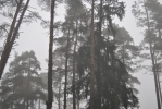 DSC_0112.JPG
