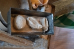DSC_0437.JPG