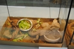DSC_0676~0.JPG