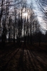 IMGP3661.JPG