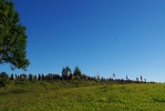 IMGP9872.JPG