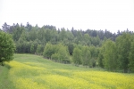 _IGP1075.JPG