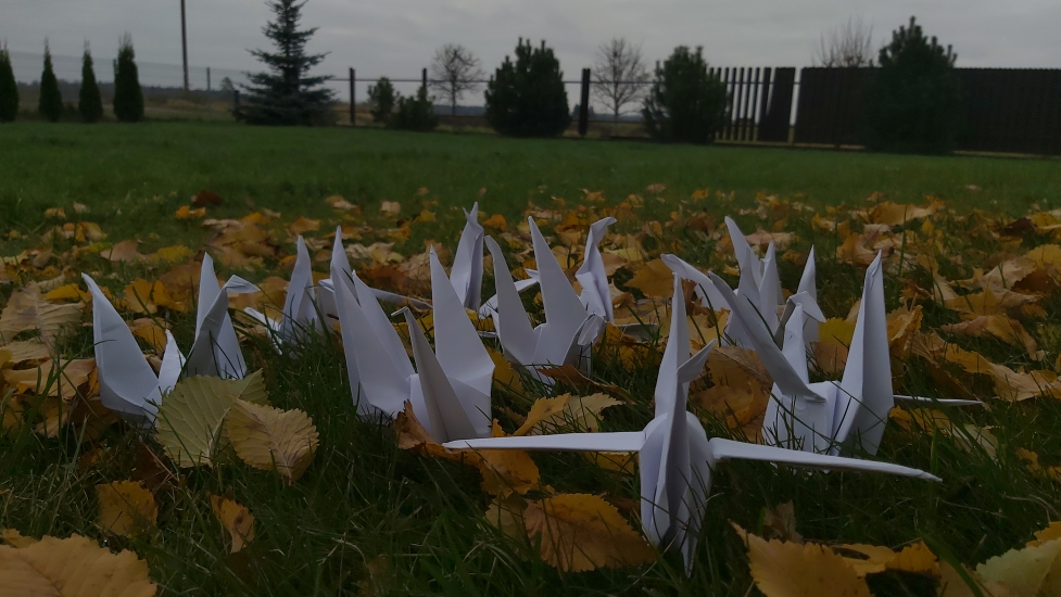 20201111_120334.jpg