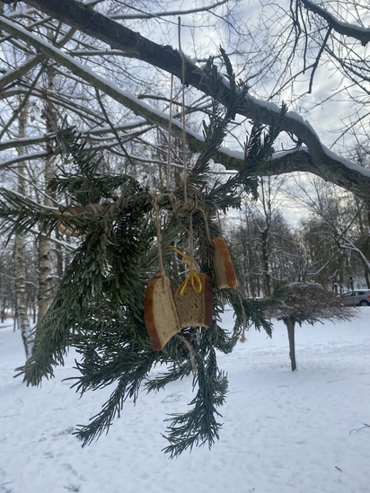  
Foto  Adrija Lukošiūtė
