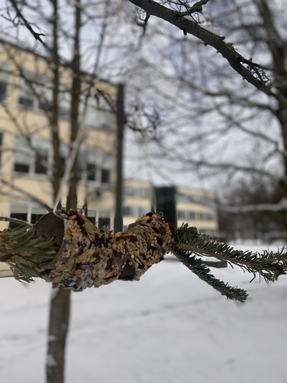 Foto  Adrija Lukošiūtė
