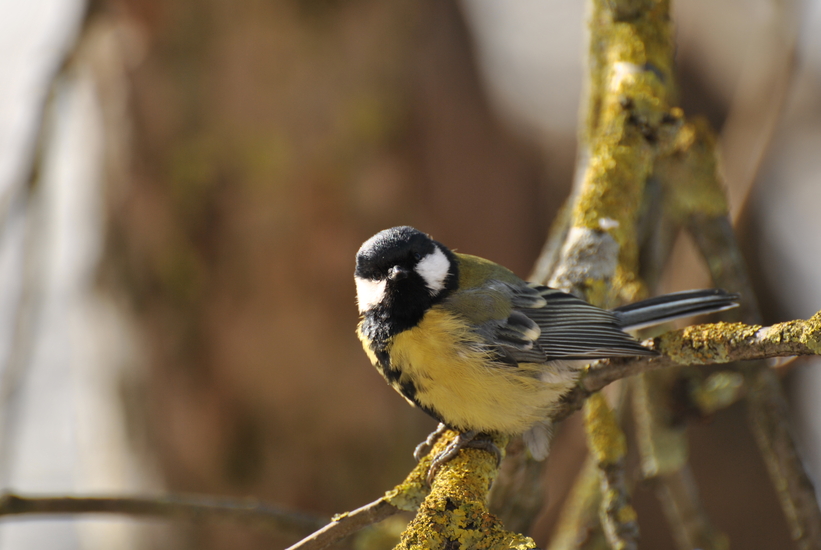 DSC_0006~0.JPG