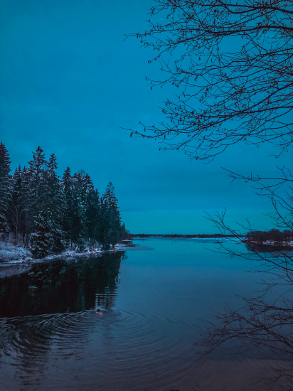 Foto M. Rutkauskaitė
