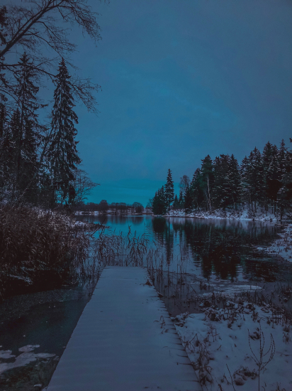 Foto M. Rutkauskaitė
