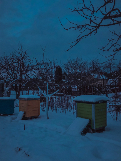 Foto M. Rutkauskaitė

