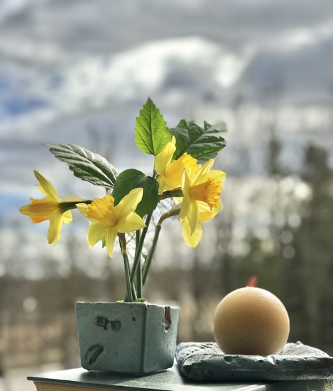 IMG_4788.jpeg