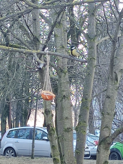 Foto Jūratė Rimkuvienė
