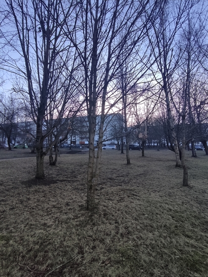 Foto Jūratė Rimkuvienė
