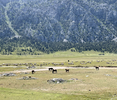 Ausrine_Saule_Petraityte_Laisve.jpg
