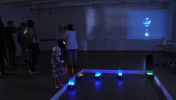 DSC_0008_ledveidr~0.jpg