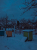 IMG-4592.JPEG