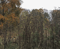 IMG_E8324.JPG
