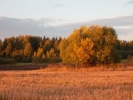 Saules_nutvieksti.JPG