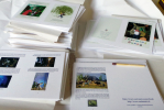 lithuanian_tales_miniature_project.JPG