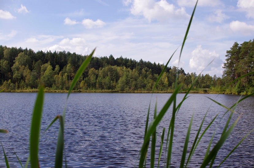 _IGP2458.JPG