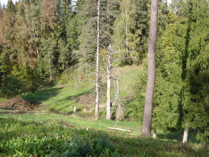 DSC03734.JPG