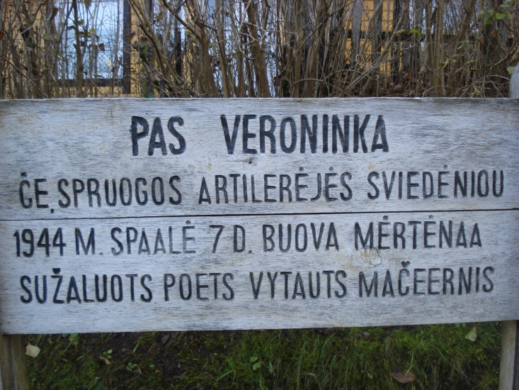 DSC03848.JPG