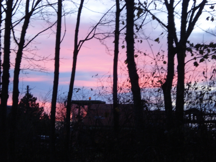 DSC03870.JPG