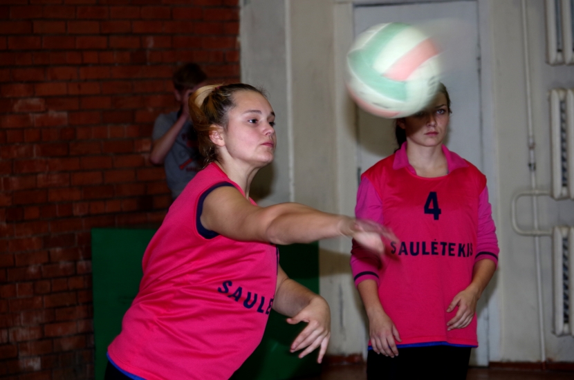 IMGP3649.jpg