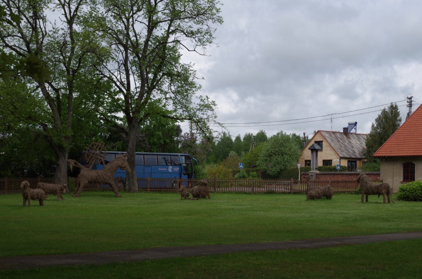 IMGP6557.JPG