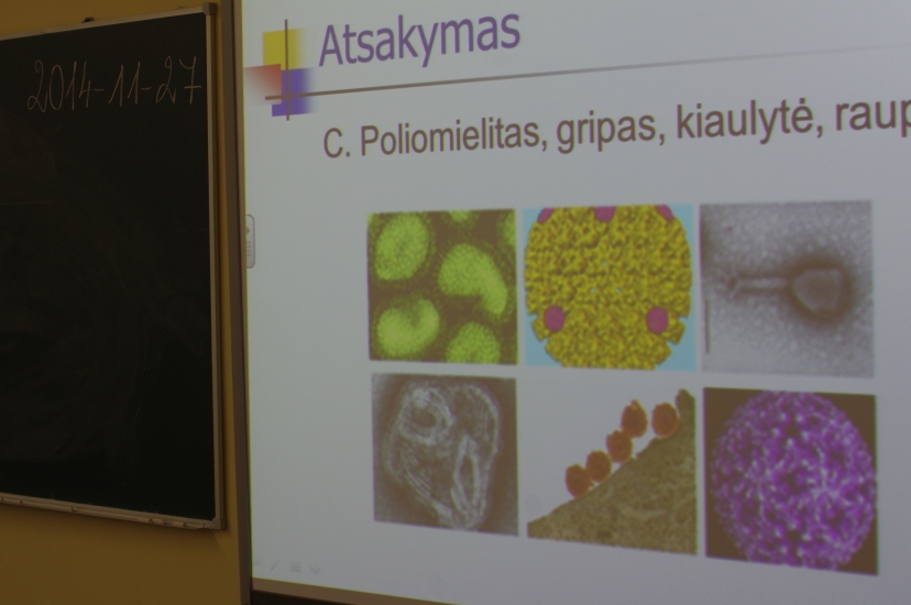 _IGP0823.JPG