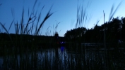 20150603_225512.JPG
