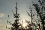 DSC02849.JPG