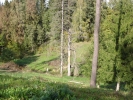 DSC03734.JPG