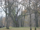DSC03833.JPG