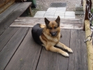 DSC03893.JPG