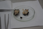 DSC04659.JPG