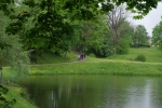 IMGP6574.JPG