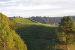 _IGP6183.JPG