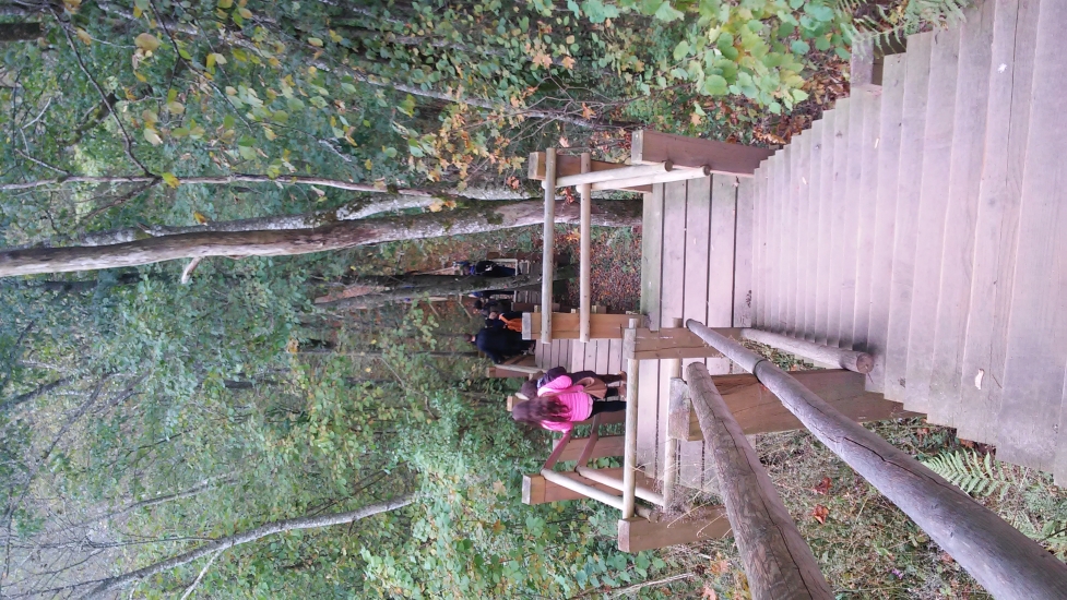 20151010_115424.jpg