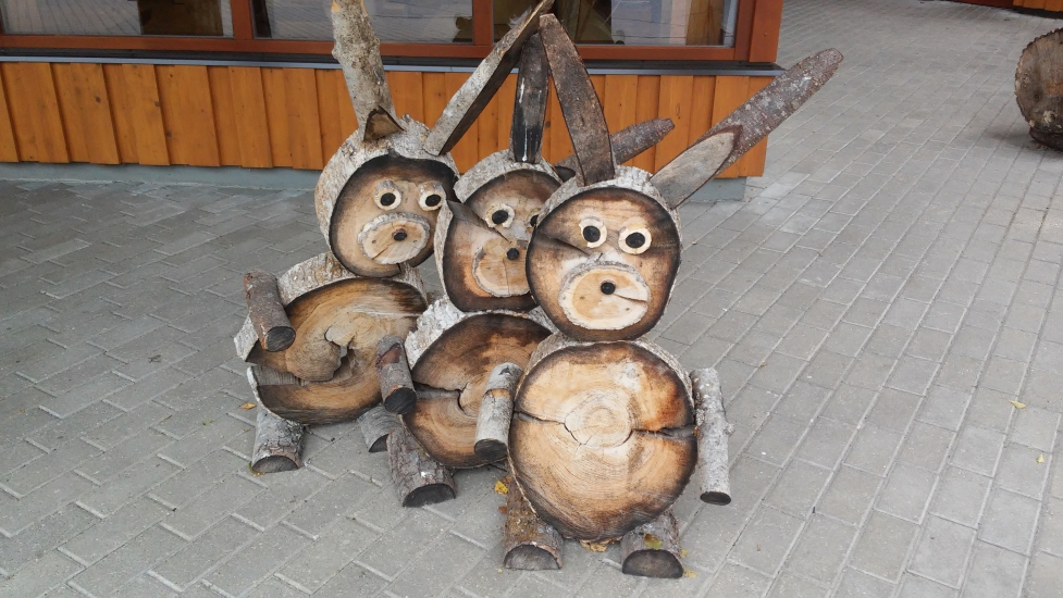 20151010_123204.jpg